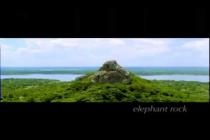 Embedded thumbnail for Birds of Paradise - SRI LANKA TRAVEL DOCUMENTARY